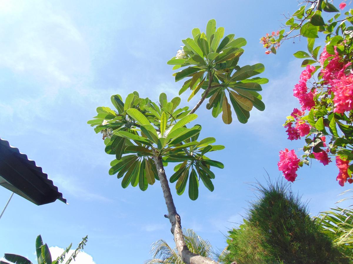 Sister Bungalow Hotell Gili Air Eksteriør bilde